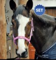 /album/fotogaleria-ohlavka-superstar/kantar-api-super-star-fuksja-cob-full-pony-jpg1/